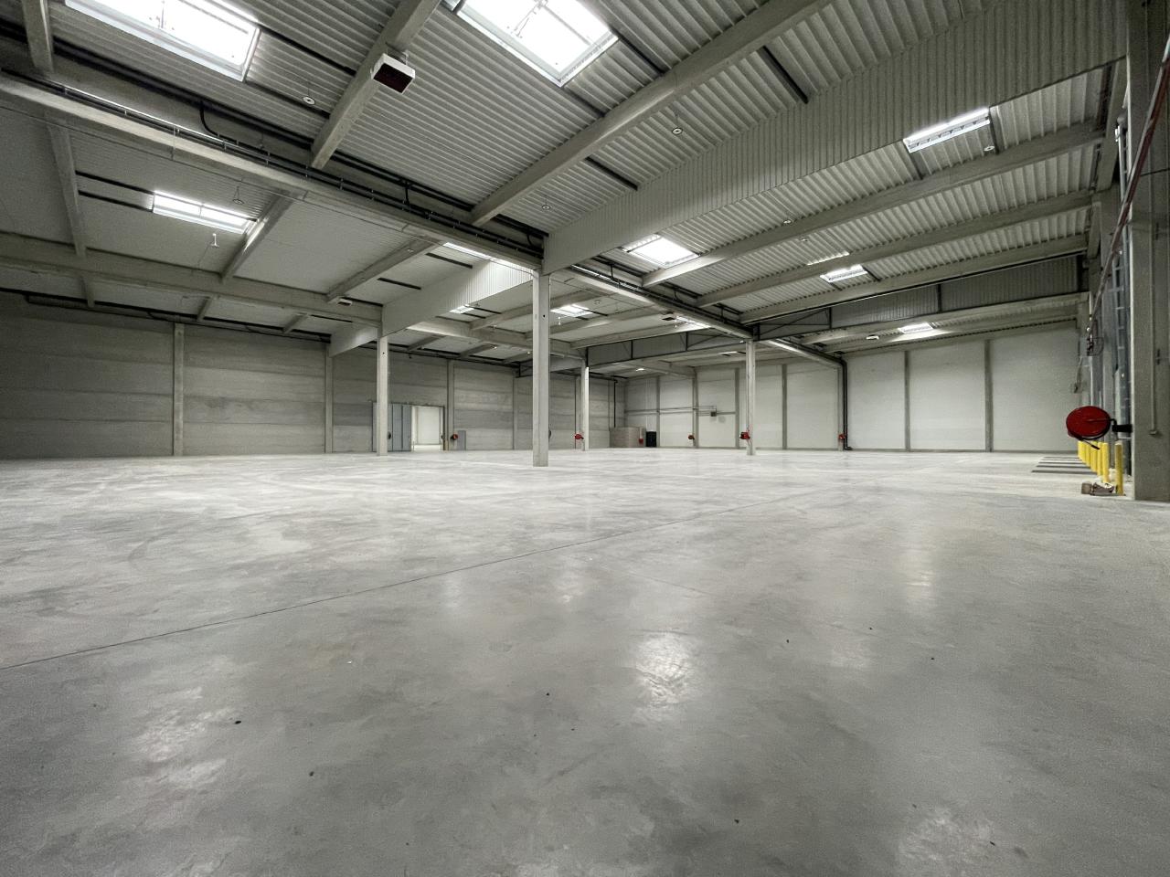 Entrepôt classe c Monswiller 6425m² Location entrepôt classe c Monswiller Bas-Rhin OLLOG2422157 9